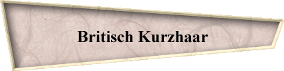 Britisch Kurzhaar