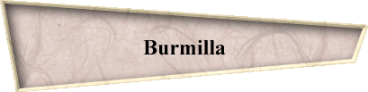 Burmilla