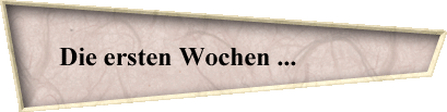 Die ersten Wochen ...              
