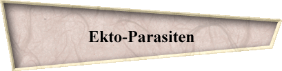 Ekto-Parasiten