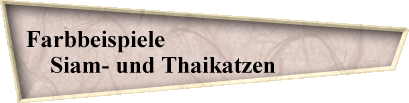 Farbbeispiele                                    
  Siam- und Thaikatzen                