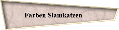 Farben Siamkatzen       