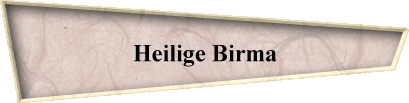 Heilige Birma