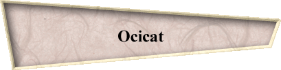 Ocicat