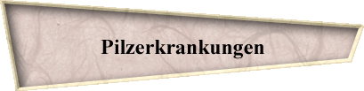 Pilzerkrankungen