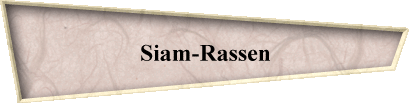 Siam-Rassen