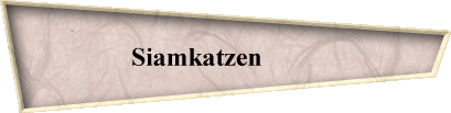 Siamkatzen         