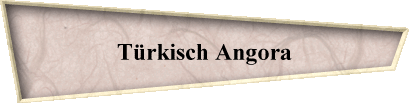 Trkisch Angora