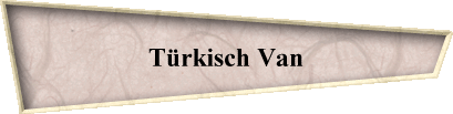 Trkisch Van