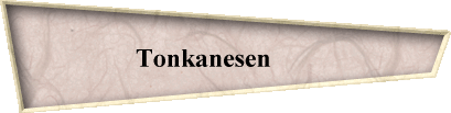 Tonkanesen