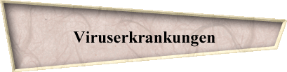 Viruserkrankungen