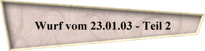 Wurf vom 23.01.03 - Teil 2