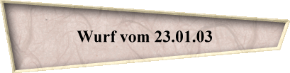 Wurf vom 23.01.03