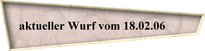 aktueller Wurf vom 18.02.06       